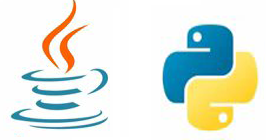 Java And Python